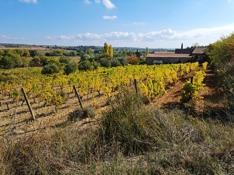 Les rangs de vigne aux feuilles jaunies par l’automne, le mas du domaine au fond, sous un ciel bleu.