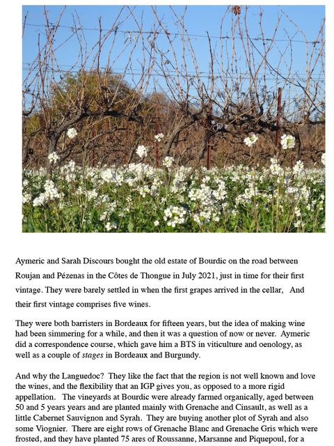 Article de Rosemary George MW illustré d’une parcelle de vieilles vignes taillées, l’inter-rang couvert de fleurs blanches.