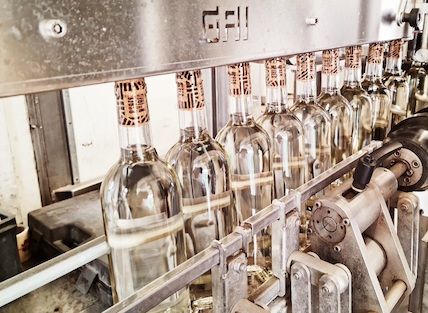 Bouteilles vides alignées sur la chaîne d’embouteillage, sous la tireuse.