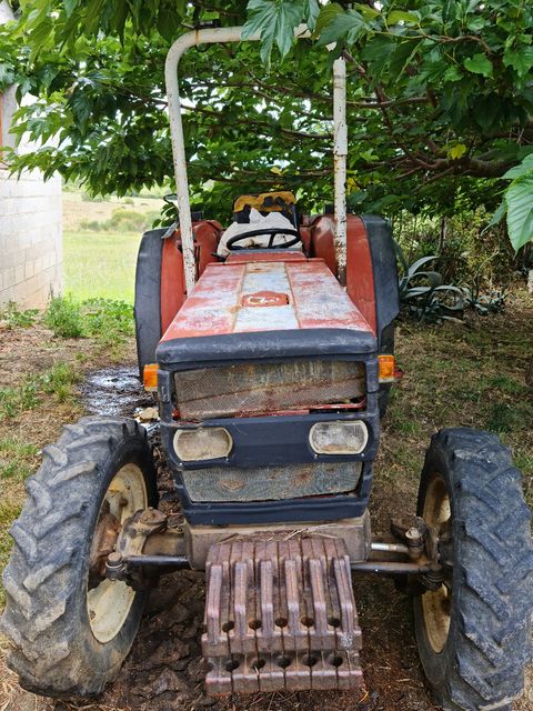 Vieux tracteur vigneron rouge à l’arrêt sous un mûrier, le long d’un mur de parpaings.