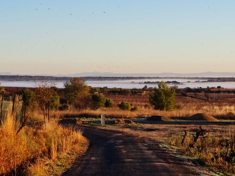 Un chemin de terre traversant les parcelles un matin d’automne, la brume posée sur la plaine et un vol d’oiseaux dans le ciel.