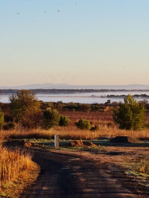 Plaine noyée de brume au lever du jour, vue depuis un chemin du domaine.