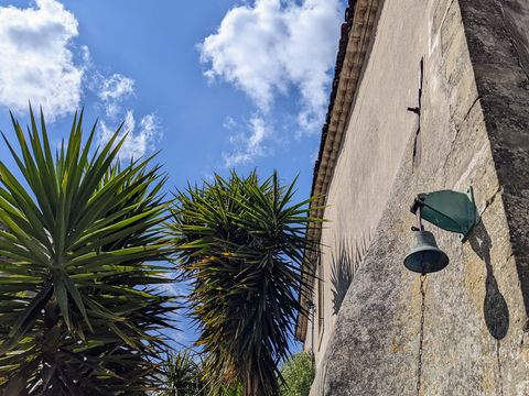 L’angle du mas du domaine, sa cloche d’entrée et ses yuccas, sous un ciel bleu.